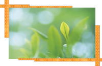 ���j�C���[�W